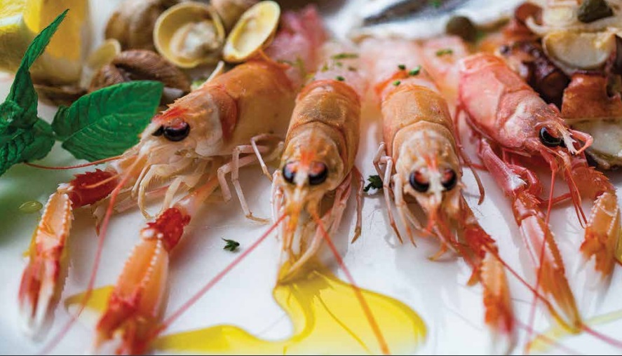 DUBROVNIK Proljetni gourmet dani u dubrovačkim restoranima, 10.23.4