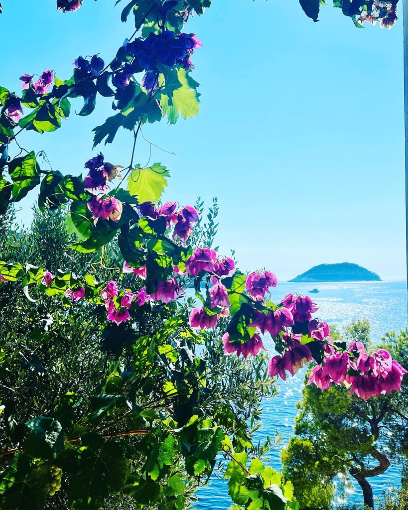 Pogled s otoka kroz prekrasnu bugenviliju