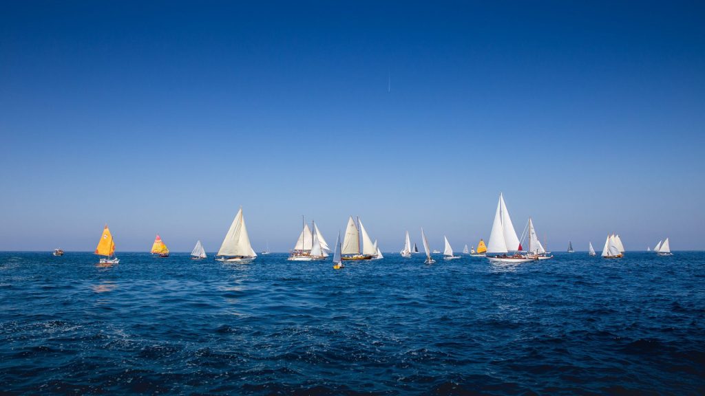 Rovinjska regata tradicijskih barki