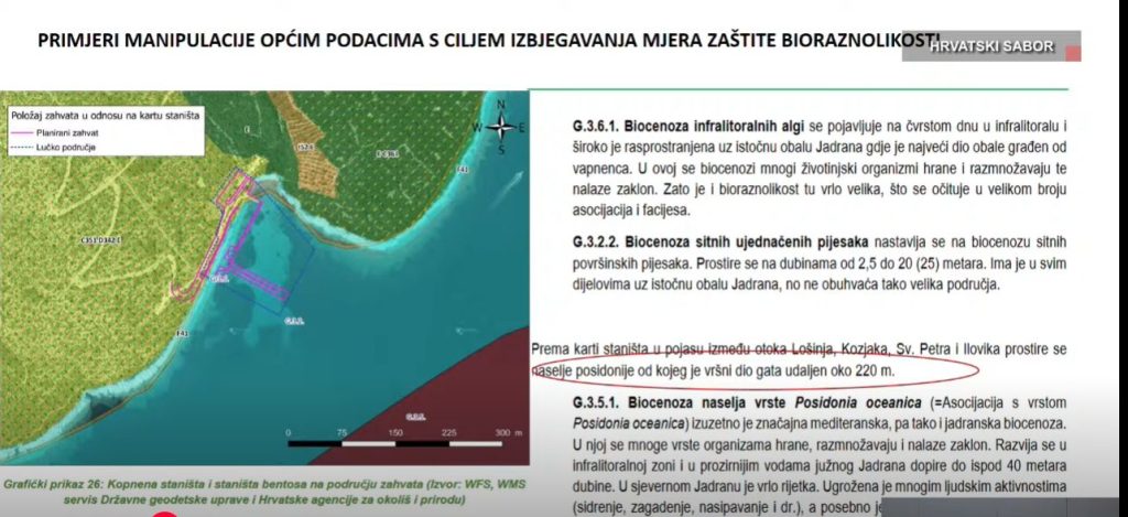 Uvala Mrtvaška - polja posidonije su tamnije boje i na prikazu je vidljivo da planirani lukobran prelazi preko njih, iako u elaboratu piše da je udaljenost lukobrana od polja posidonije 220 metara / Izvor: prezentacija Milvane Arko-Pijevac
